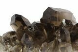 Dark Smoky Quartz Crystal Cluster - Brazil #84802-1